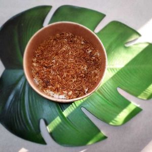 riz soja