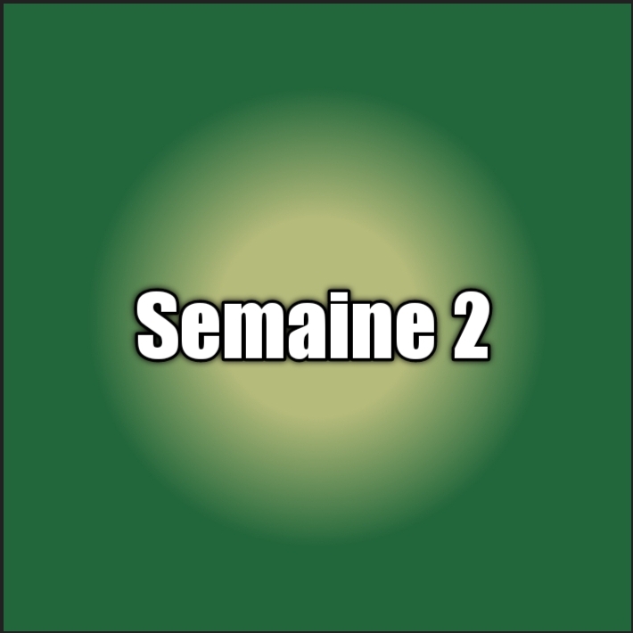 Semaine 2